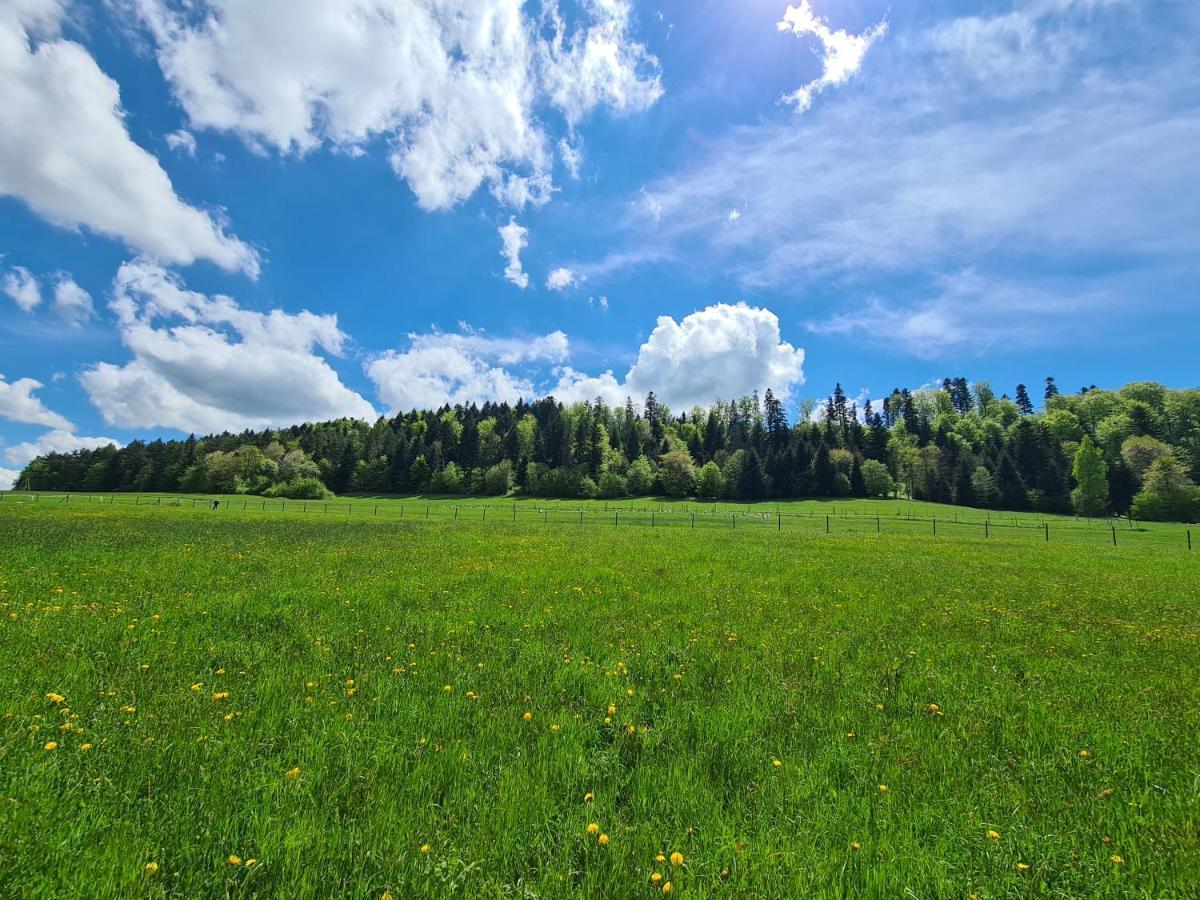 Klimkowka Pod Gwiazdami - Sauna, Jacuzzi, Basen Bagian luar foto