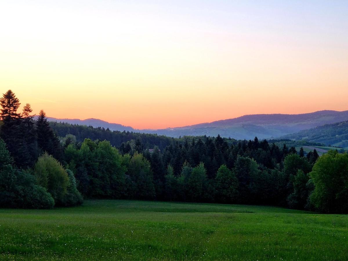 Klimkowka Pod Gwiazdami - Sauna, Jacuzzi, Basen Bagian luar foto