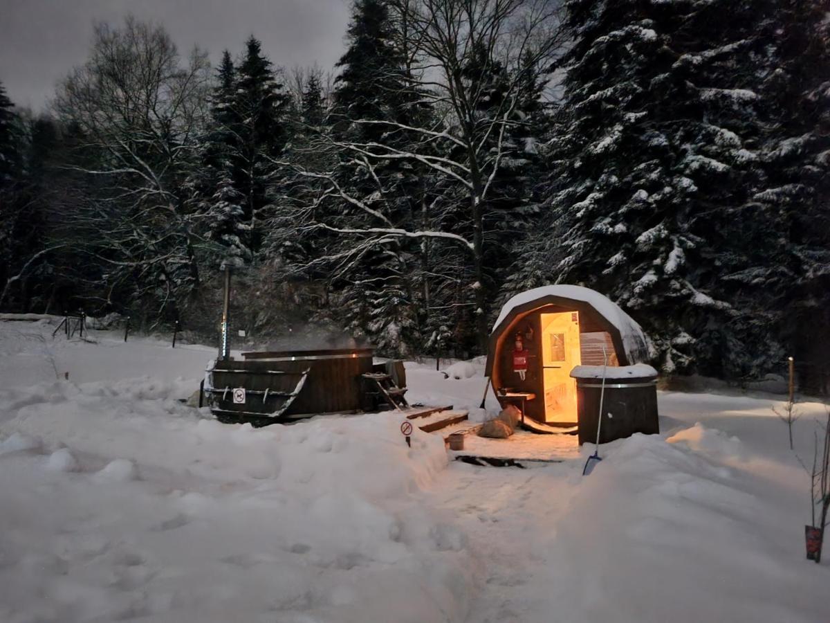 Klimkowka Pod Gwiazdami - Sauna, Jacuzzi, Basen Bagian luar foto